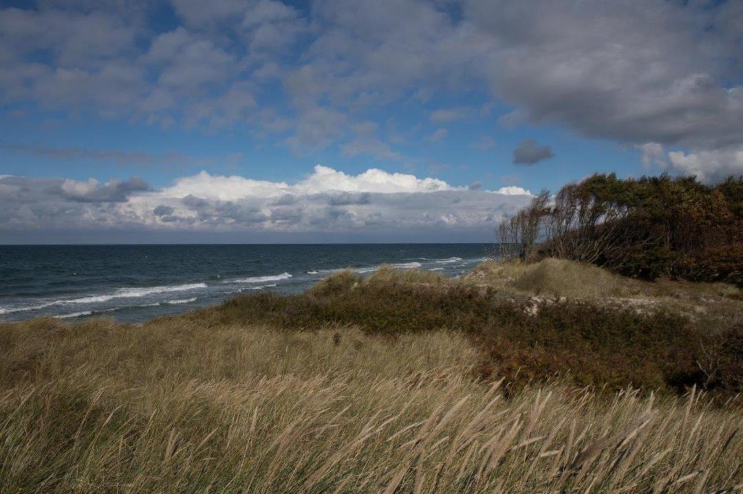 Studio 11 im Haus Stranddistel, modernes Studio im 1 OG fur 2 Personen in Ostseeheilbad Zingst Exterior foto